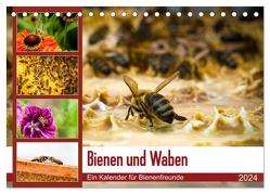 Bienen und Waben (Tischkalender 2024 DIN A5 quer), CALVENDO Monatskalender von Wilms,  Barbara