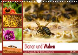 Bienen und Waben (Wandkalender 2023 DIN A4 quer) von Wilms,  Barbara