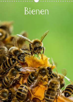 BienenAT-Version (Wandkalender 2022 DIN A3 hoch) von Bangert,  Mark