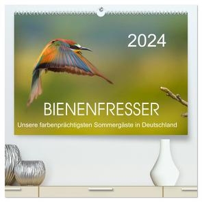 Bienenfresser, unsere farbenprächtigsten Sommergäste in Deutschland (hochwertiger Premium Wandkalender 2024 DIN A2 quer), Kunstdruck in Hochglanz von Will,  Thomas