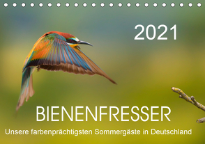 Bienenfresser, unsere farbenprächtigsten Sommergäste in Deutschland (Tischkalender 2021 DIN A5 quer) von Will,  Thomas