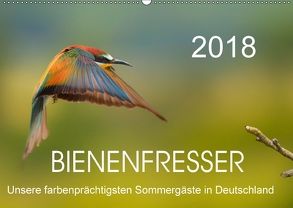 Bienenfresser, unsere farbenprächtigsten Sommergäste in Deutschland (Wandkalender 2018 DIN A2 quer) von Will,  Thomas