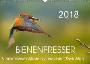Bienenfresser, unsere farbenprächtigsten Sommergäste in Deutschland (Wandkalender 2018 DIN A3 quer) von Will,  Thomas