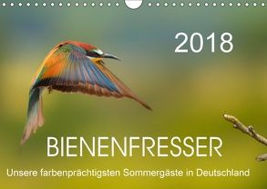 Bienenfresser, unsere farbenprächtigsten Sommergäste in Deutschland (Wandkalender 2018 DIN A4 quer) von Will,  Thomas