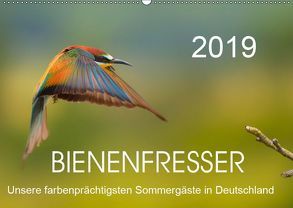 Bienenfresser, unsere farbenprächtigsten Sommergäste in Deutschland (Wandkalender 2019 DIN A2 quer) von Will,  Thomas