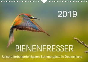 Bienenfresser, unsere farbenprächtigsten Sommergäste in Deutschland (Wandkalender 2019 DIN A4 quer) von Will,  Thomas