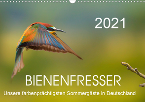 Bienenfresser, unsere farbenprächtigsten Sommergäste in Deutschland (Wandkalender 2021 DIN A3 quer) von Will,  Thomas