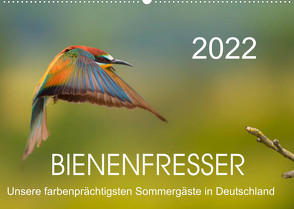 Bienenfresser, unsere farbenprächtigsten Sommergäste in Deutschland (Wandkalender 2022 DIN A2 quer) von Will,  Thomas