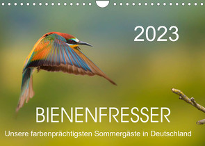 Bienenfresser, unsere farbenprächtigsten Sommergäste in Deutschland (Wandkalender 2023 DIN A4 quer) von Will,  Thomas