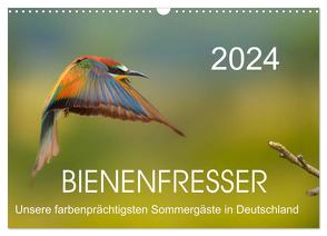 Bienenfresser, unsere farbenprächtigsten Sommergäste in Deutschland (Wandkalender 2024 DIN A3 quer), CALVENDO Monatskalender von Will,  Thomas