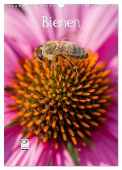Bienenkalender (Wandkalender 2024 DIN A3 hoch), CALVENDO Monatskalender von Bangert,  Mark