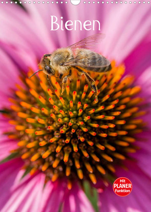Bienenplaner (Wandkalender 2022 DIN A3 hoch) von Bangert,  Mark