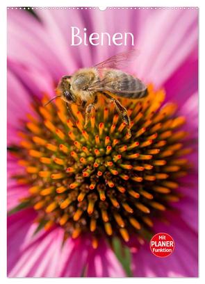 Bienenplaner (Wandkalender 2024 DIN A2 hoch), CALVENDO Monatskalender von Bangert,  Mark