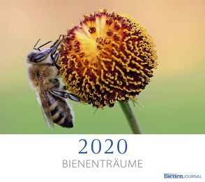 Bienenträume 2020
