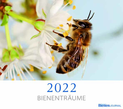 Bienenträume 2022