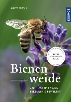 Bienenweide von Pritsch,  Günter