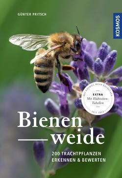 Bienenweide von Pritsch,  Günter