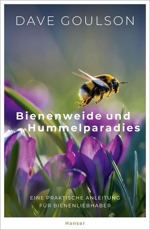 Bienenweide und Hummelparadies von Goulson,  Dave, Ranke,  Elsbeth