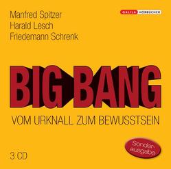 Big Bang: Vom Urknall zum Bewusstsein von Lesch,  Harald, Schrenk,  Friedemann, Spitzer,  Manfred