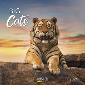 Big Cats 2024 von Korsch Verlag