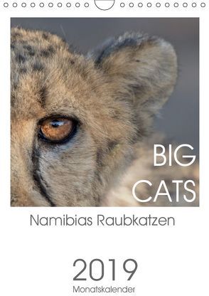 BIG CATS – Namibias Raubkatzen (Wandkalender 2019 DIN A4 hoch) von van der Wiel,  Irma