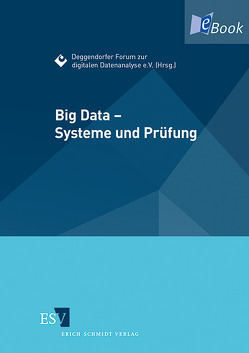 Big Data – Systeme und Prüfung