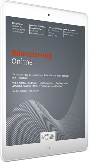 Bilanzierung Online von Bitz,  Horst, Littmann,  Eberhard, Pust,  Hartmut
