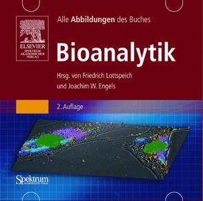 Bild-CD-ROM, Bioanalytik von Engels,  Joachim, Herweg,  Frank, Lottspeich,  Friedrich