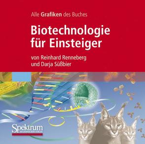 Bild-CD-ROM, Renneberg, Biotechnologie für Einsteiger von Herweg,  Frank, Renneberg,  Reinhard, Süßbier,  Siegfried