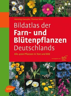 Bildatlas der Farn- und Blütenpflanzen Deutschlands von Haeupler,  Henning, Muer,  Thomas