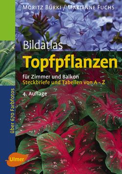 Topfpflanzen von Bürki,  Moritz, Fuchs,  Marianne