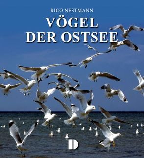 Bildband Vögel der Ostsee von Nestmann,  Rico