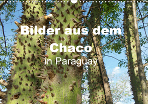 Bilder aus dem Chaco in Paraguay (Wandkalender 2020 DIN A3 quer) von Kristin von Montfort,  Gräfin