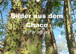 Bilder aus dem Chaco in Paraguay (Wandkalender 2022 DIN A3 quer) von Kristin von Montfort,  Gräfin