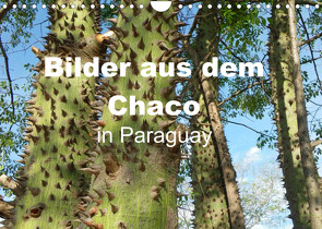 Bilder aus dem Chaco in Paraguay (Wandkalender 2023 DIN A4 quer) von Kristin von Montfort,  Gräfin