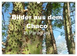 Bilder aus dem Chaco in Paraguay (Wandkalender 2024 DIN A3 quer), CALVENDO Monatskalender von Kristin von Montfort,  Gräfin