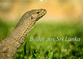Bilder aus Sri Lanka (Wandkalender 2023 DIN A2 quer) von Ziemer,  Astrid