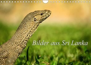 Bilder aus Sri Lanka (Wandkalender 2023 DIN A4 quer) von Ziemer,  Astrid