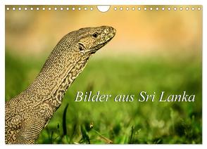 Bilder aus Sri Lanka (Wandkalender 2024 DIN A4 quer), CALVENDO Monatskalender von Ziemer,  Astrid