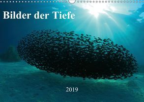 Bilder der Tiefe 2019 (Wandkalender 2019 DIN A3 quer) von Hablützel,  Martin