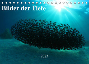 Bilder der Tiefe 2023 (Tischkalender 2023 DIN A5 quer) von Hablützel,  Martin