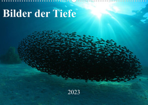 Bilder der Tiefe 2023 (Wandkalender 2023 DIN A2 quer) von Hablützel,  Martin