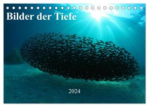 Bilder der Tiefe 2024 (Tischkalender 2024 DIN A5 quer), CALVENDO Monatskalender von Hablützel,  Martin