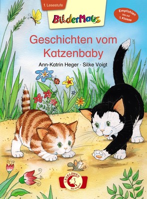 Bildermaus – Geschichten vom Katzenbaby von Heger,  Ann-Katrin, Voigt,  Silke
