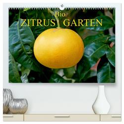 Bio Zitrus Garten (hochwertiger Premium Wandkalender 2024 DIN A2 quer), Kunstdruck in Hochglanz von Rauchenwald,  Martin