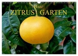 Bio Zitrus Garten (Wandkalender 2024 DIN A3 quer), CALVENDO Monatskalender von Rauchenwald,  Martin