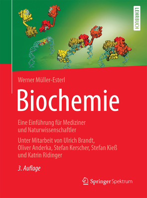 Biochemie von Müller-Esterl,  Werner