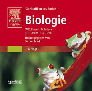 Biologie CD-ROM von Herweg,  Frank, Purves,  William K.