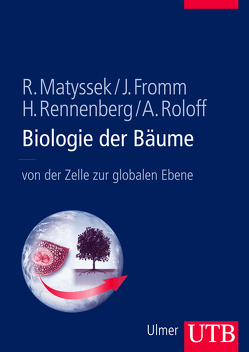 Biologie der Bäume von Fromm,  Jörg, Matyssek,  Rainer, Rennenberg,  Heinz, Roloff,  Andreas
