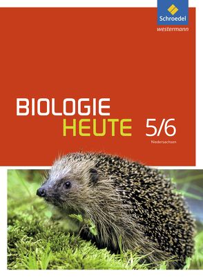 Biologie heute SI – Ausgabe 2013 für Gymnasien in Niedersachsen von Walory,  Michael, Westendorf-Bröring,  Elsbeth